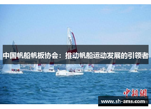 中国帆船帆板协会：推动帆船运动发展的引领者
